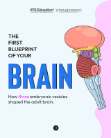The First Blueprint of Brain.pdf